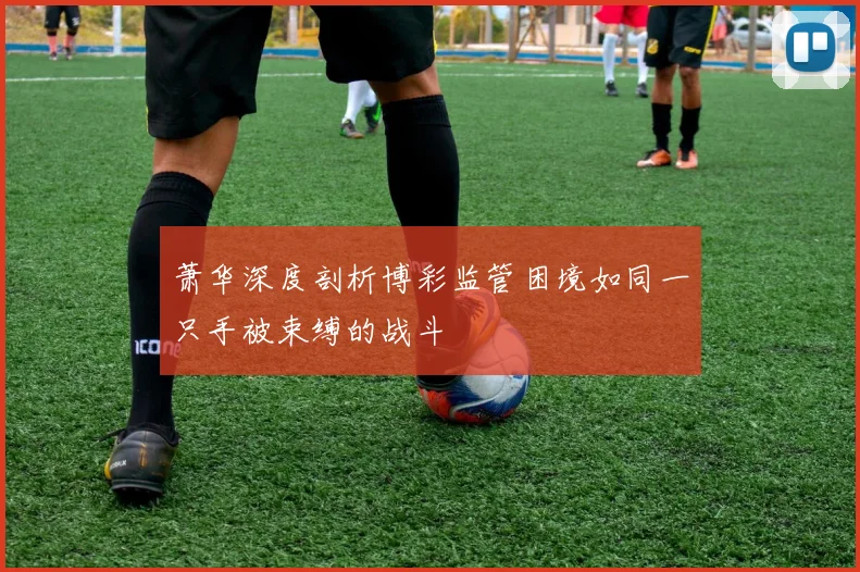 萧华深度剖析博彩监管困境如同一只手被束缚的战斗