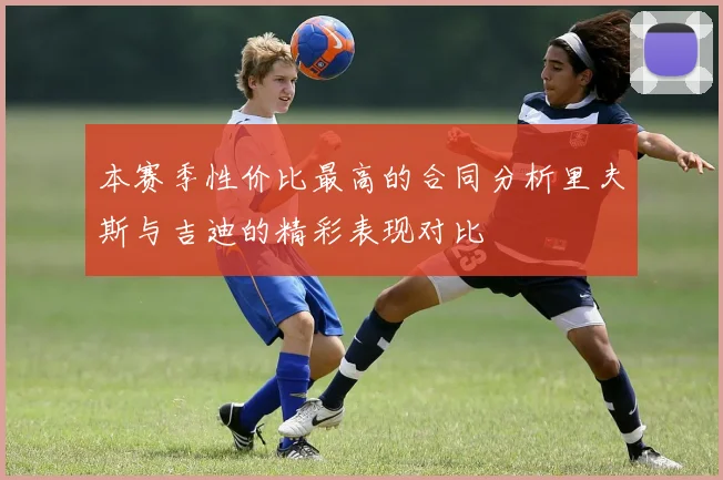 本赛季性价比最高的合同分析里夫斯与吉迪的精彩表现对比
