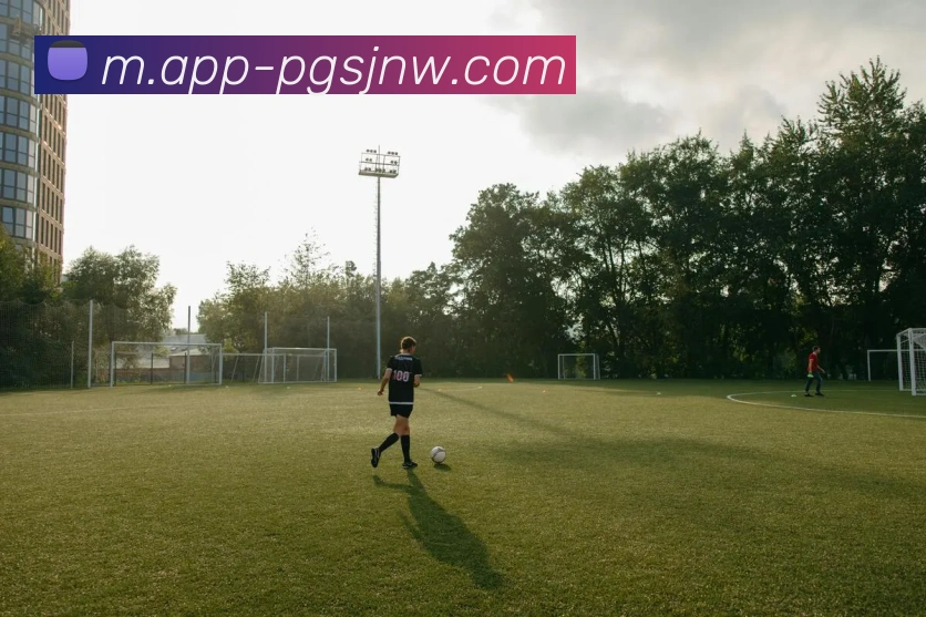 App功能展示图